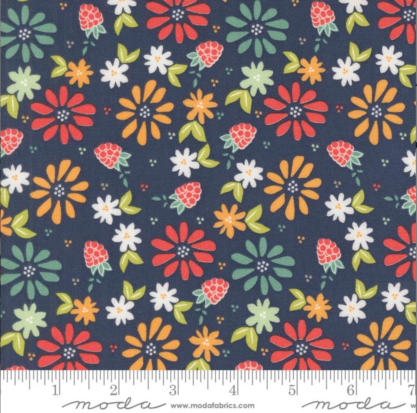 Moda Raspberry Summer - Blueberry 37690 20
