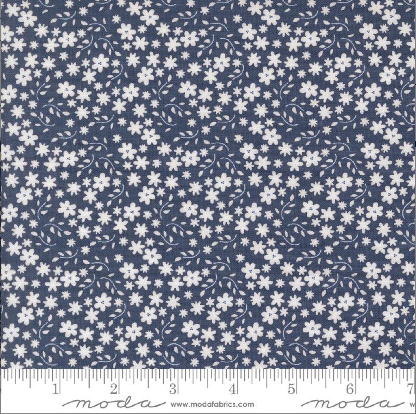 Moda Raspberry Summer - Blueberry 37693